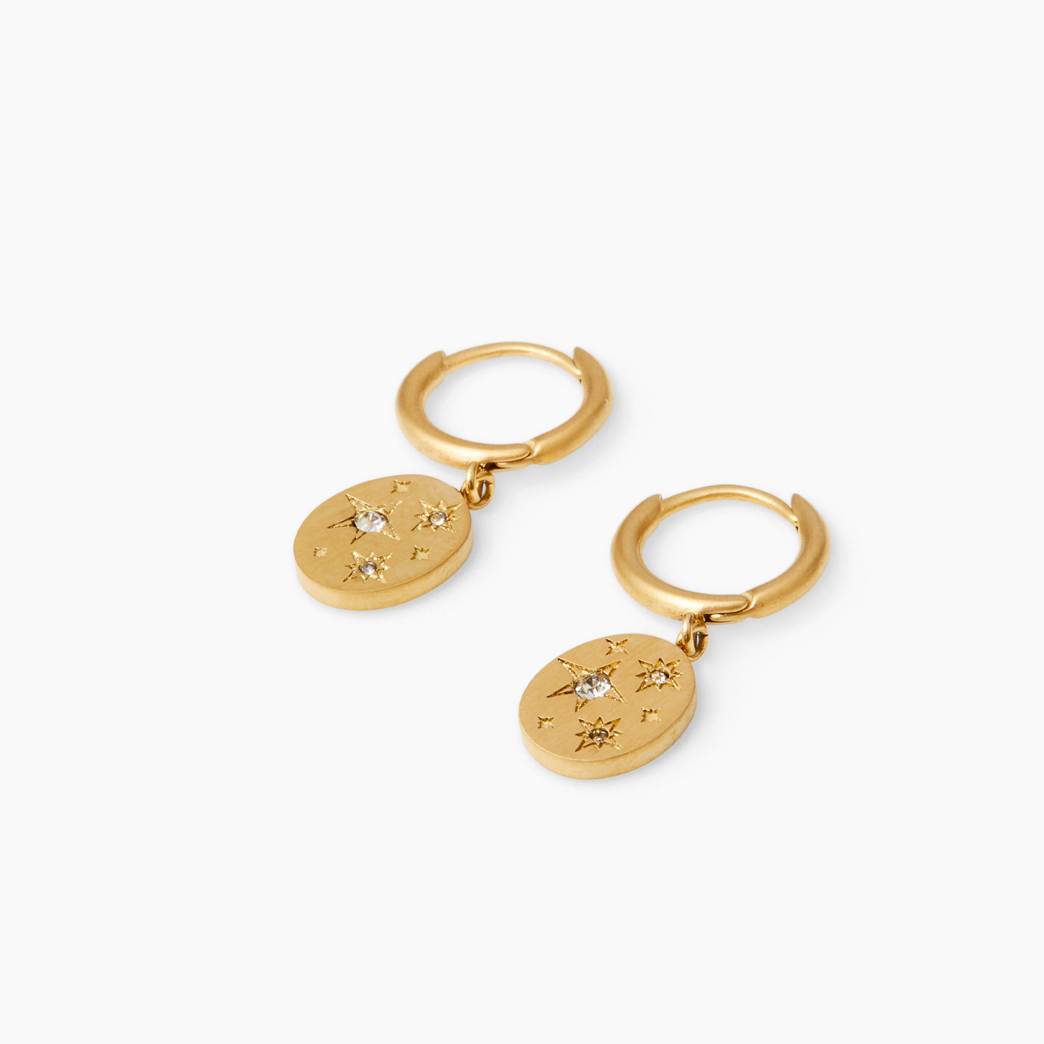 Harmonia Siegel-Edelstahl-Ohrring Gold